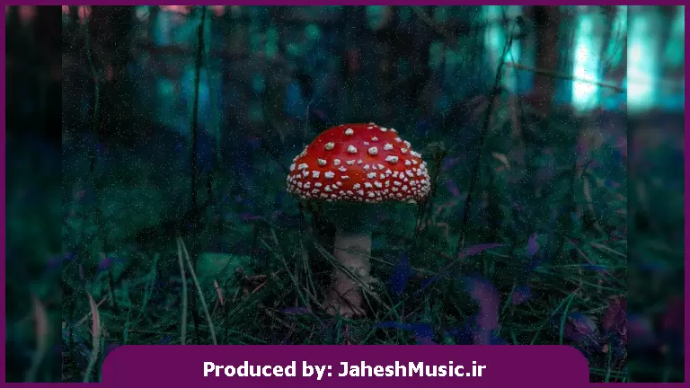 دانلود آهنگ فانک مارکوس از